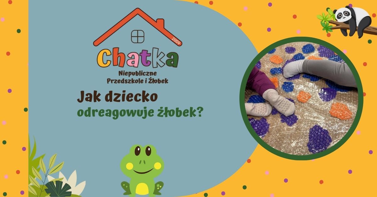 Grafika z napisem „Jak dziecko odreagowuje żłobek?” przygotowana przez Niepubliczne Przedszkole i Żłobek Chatka. Po prawej stronie zdjęcie dziecięcych nóg podczas zabaw sensorycznych na kolorowej macie bąbelkowej wspierającej regulację emocji. Kolorowa, przyjazna grafika w stylu przedszkolnym z ilustracją żabki i dekoracyjnymi elementami.